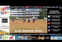 Goan Reporter News:: Wheel Chair Cricket at Goa International Purple Fest