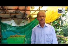 Goan Reporter News: Honey beekeeping by Guirim farmer Dasharath Madgaonkar.