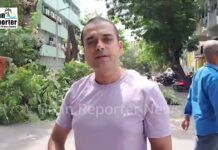 Goan Reporter: Pre-Monsoon Tree Pruning Underway in Panjim Smart City