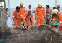 Goan Reporter: Calf Rescued from Well by Locals in Sawantwada Mandrem After Fire Brigade Refuses
