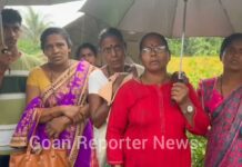Goan Reporter: Rice Farmers in Bansai, Curchorem Suffer Financial Losses Due to Heavy Rainfall