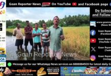 Goan Reporter: Mandrem Farmers Struggle as Heavy Rains and Lack of Machinery Hamper Cultivation; Agriculture Department Schemes Remain on Paper