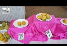 Goan Reporter: Fruit Fest Held in Navelim by Botanical Society of Goa in Association with Our Lady of Rosary Church