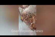 Goan Reporter:: Heavy Rains. Open trenches on Roads causing danger at Piplamol-Shirvoi, Xeldem Village