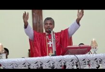 Goan Reporter: Feast Mass of St Peter at Agassaim chapel