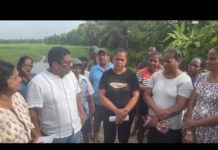 Goan Reporter:: MLA Venzy helps Locals in Agriculture Issues in Benaulim Constituency